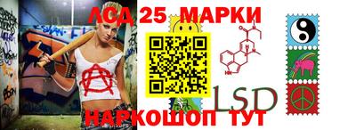прущие грибы Пушкино