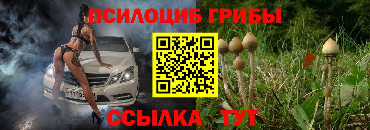 Псилоцибиновые грибы мухоморы Скопин